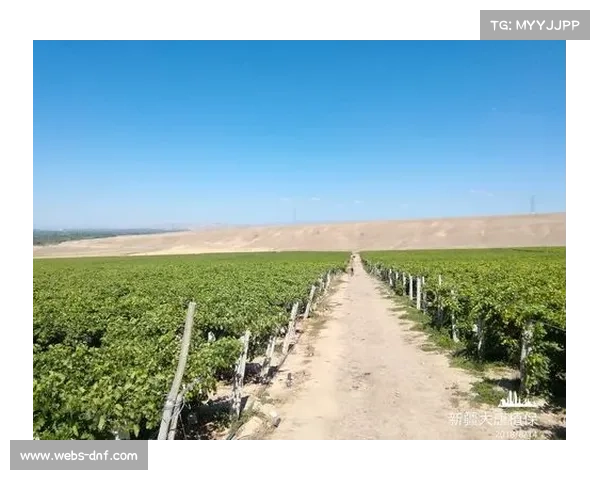 苏州队高旸孟易徐梓航荣获12至13岁组男子花剑团体第三名